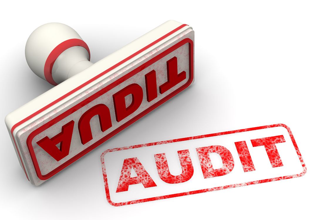 Tax Audits and Advisory